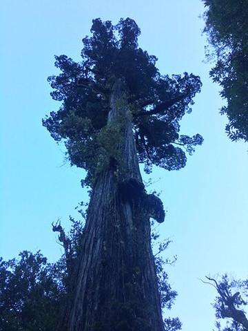 Fentrepu Ecoturismo-巴拉斯港必去景点