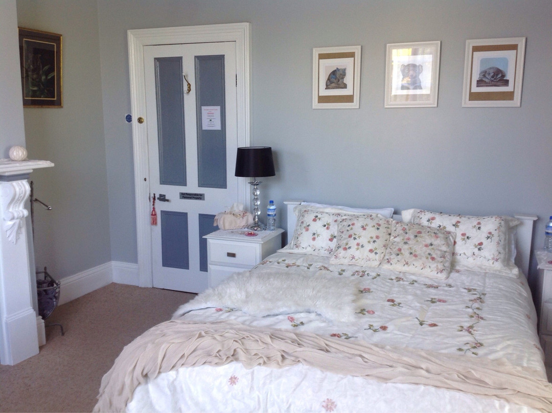 Stony Rise Cottage B&B主图