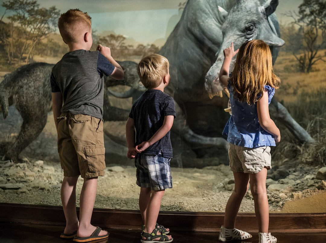 Ancient Ozarks Natural History Museum景点图片