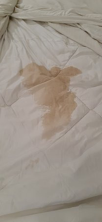 玛瑙酒店主图