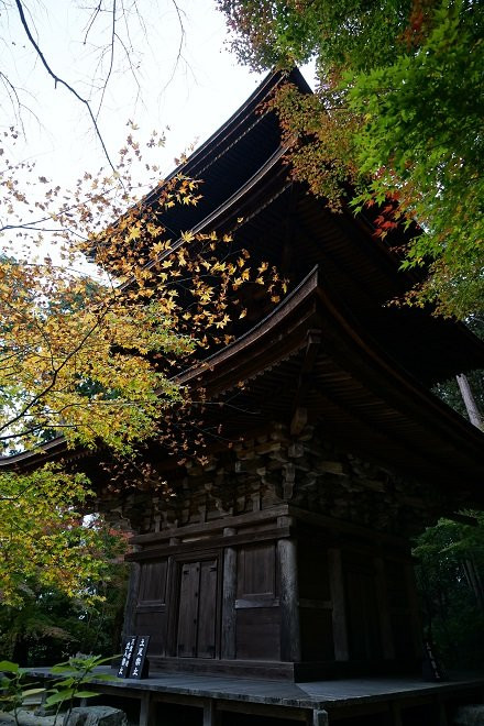 Kongorin-ji Temple 3 Storey Tower景点图片