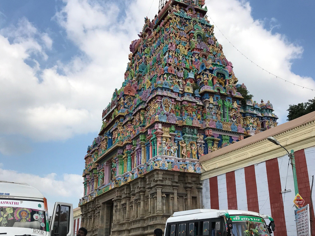 Tiruvarur District旅游攻略图片