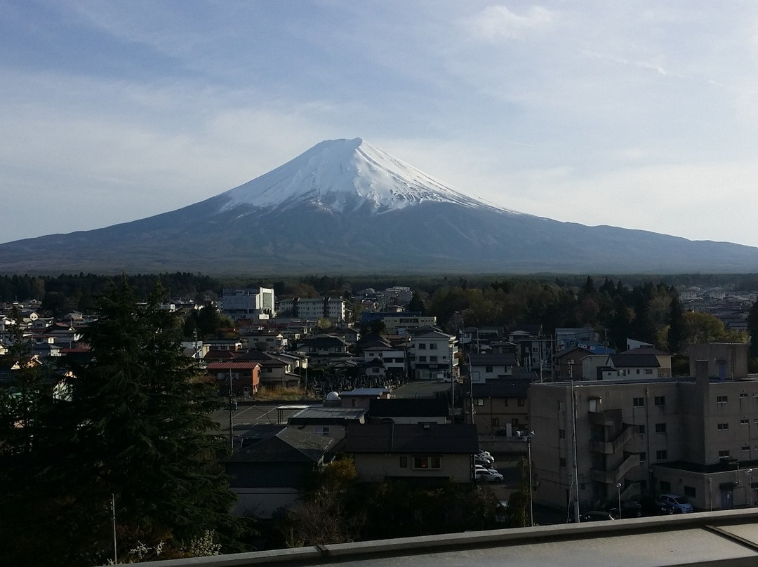 Mt. Fuji Station景点图片