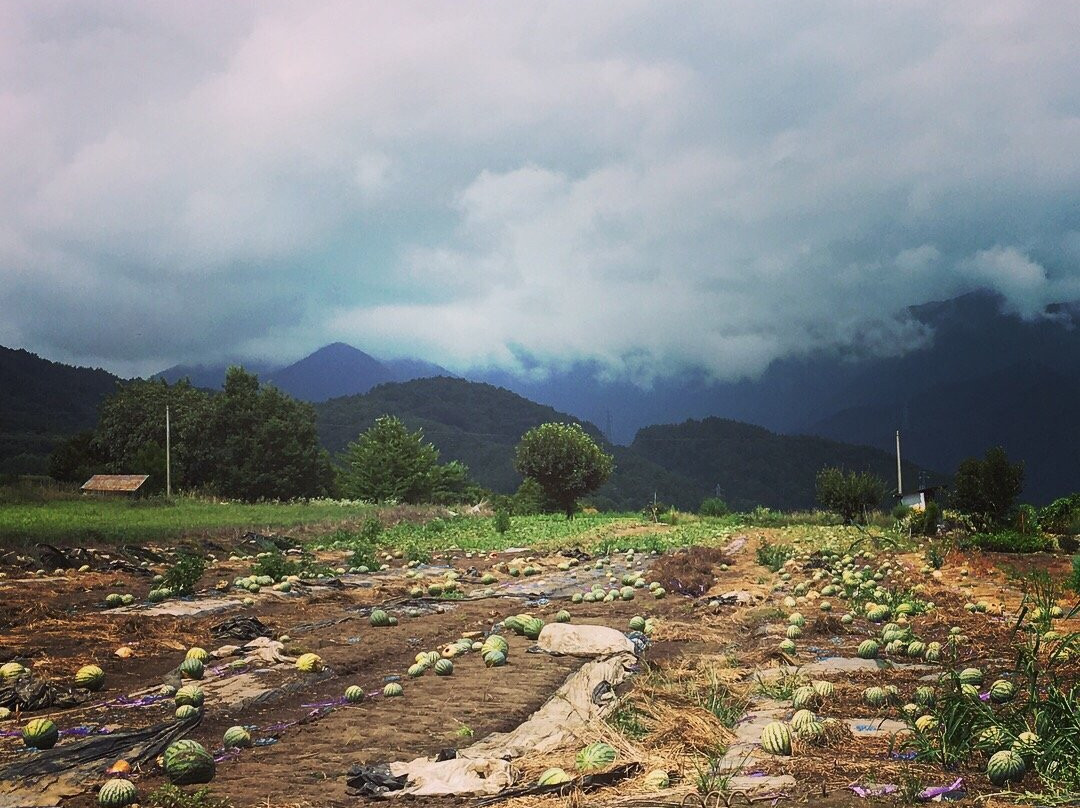 山形村旅游攻略图片