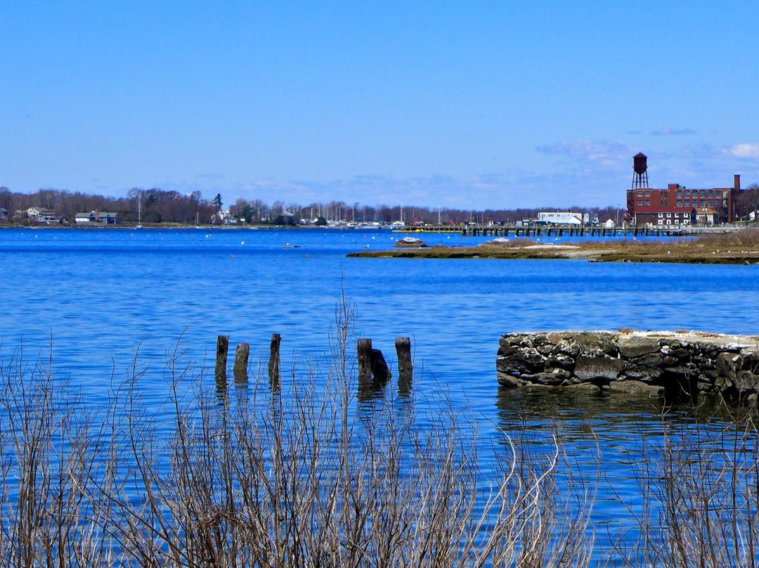 null-布里斯托尔