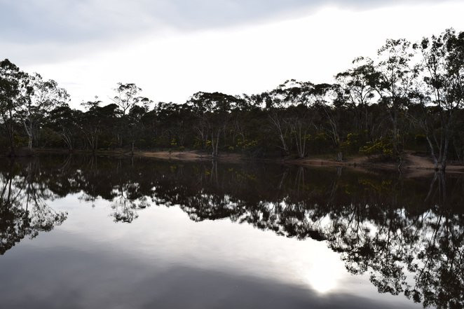 Para Wirra Recreation Park景点图片