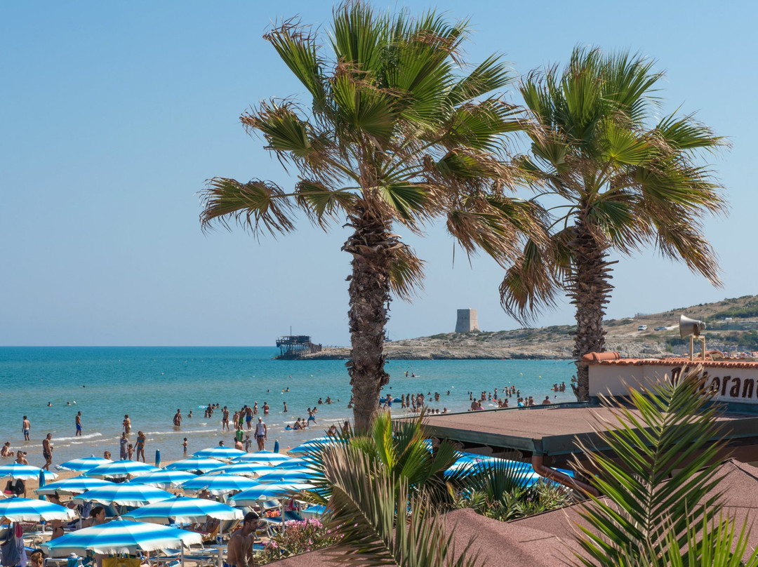 Spiaggia Scialmarino旅游攻略图片