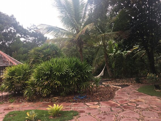 Castelar da Alvorada主图