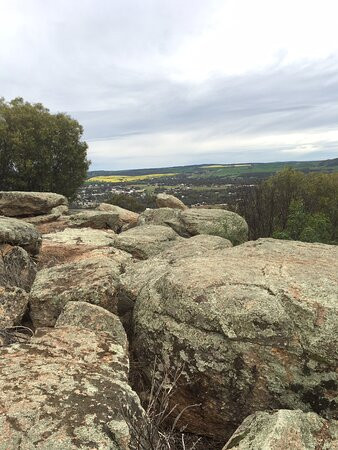 The York Palace Accommodation主图