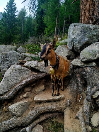Neves-stausee - Lago Di Neves-Lappago必去景点