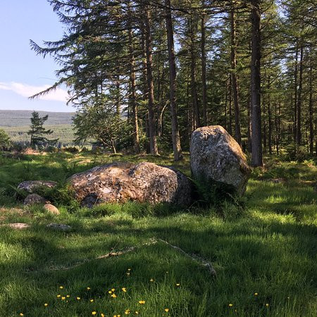 Nine Stanes Stone Circle-Banchory必去景点