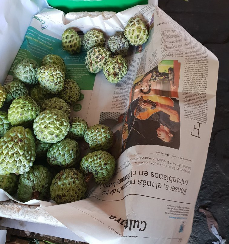 Plaza Principal de Girardot-Girardot必去景点