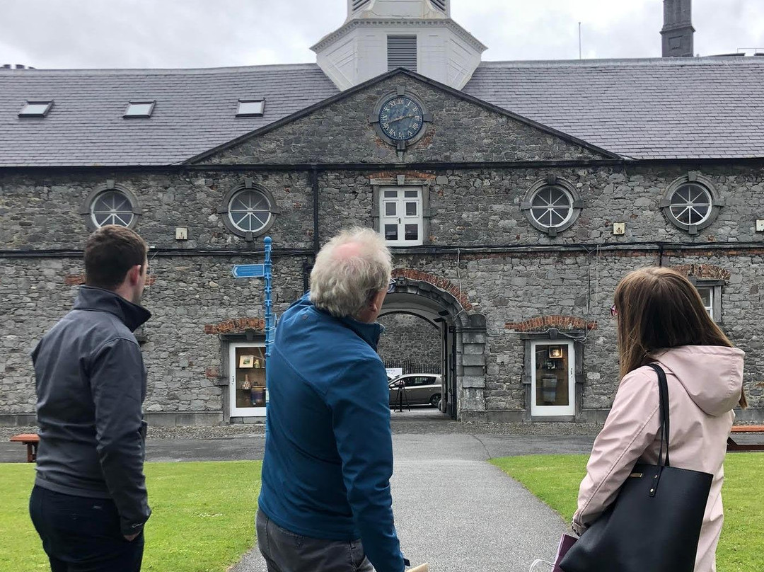 Castle Yard walking tours with Kilkenny Design Centre-基尔肯尼必去景点