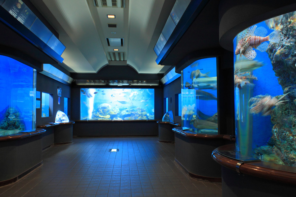 Shibukawa Marine Aquariums (Tamano City Marine Museum)景点图片