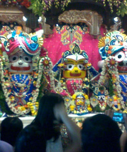 Sri Sri Radha Rasabihari Ji Temple景点门票图片