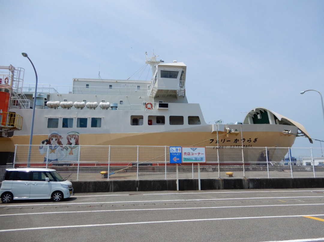Nankai Ferry景点图片