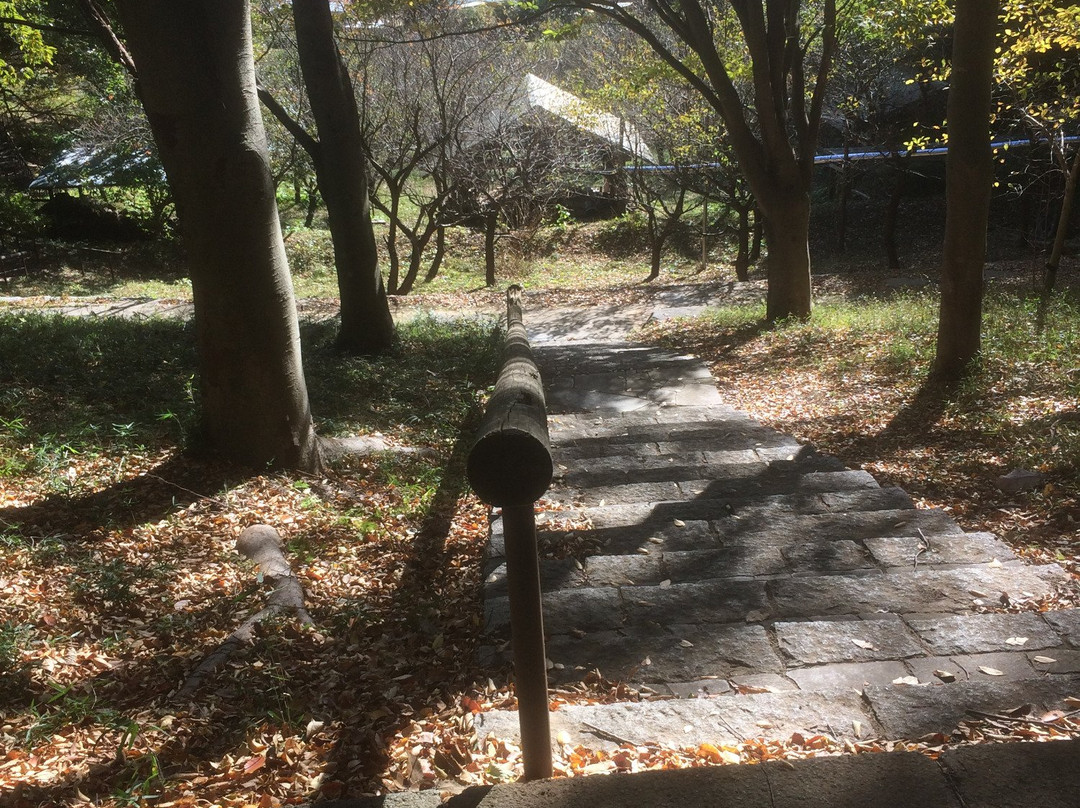 Ipponsugi Park