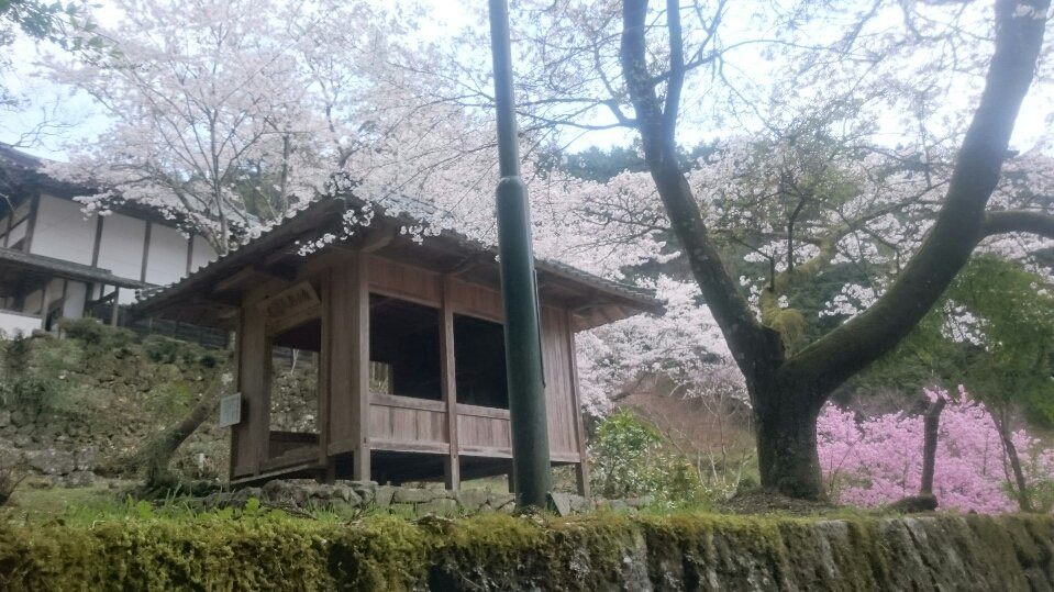 Ryutaku-ji Temple景点图片