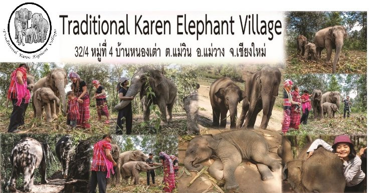 Traditional Karen Elephant Village