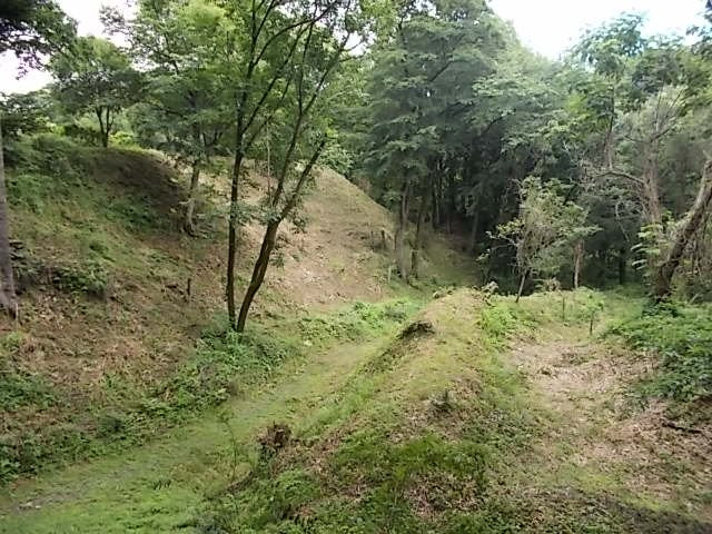 The Site of Oshima Castle (Daijo Park)