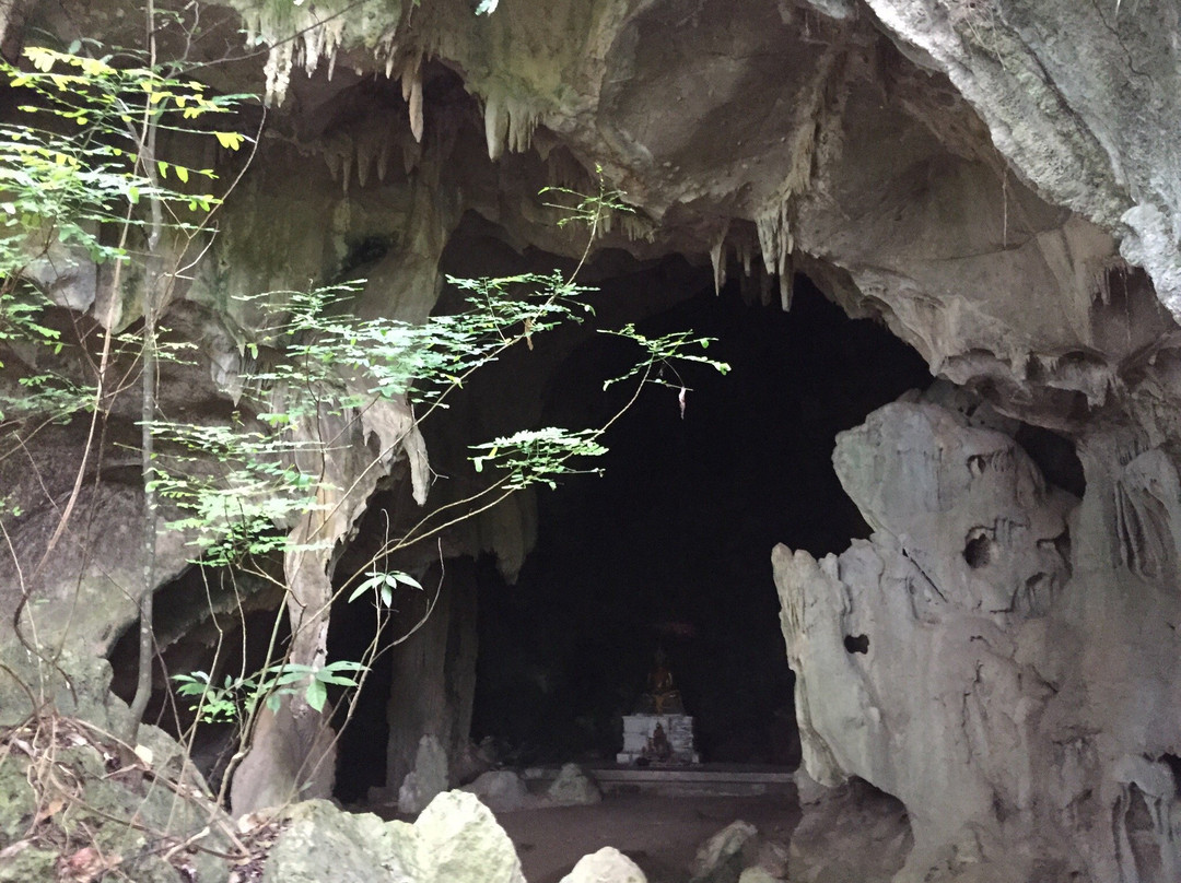 腊梅旅游攻略图片