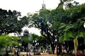 Praça Eduardo Virmond Suplicy景点图片