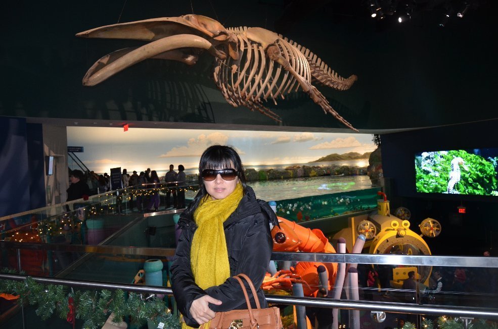 Ripley旅游攻略图片