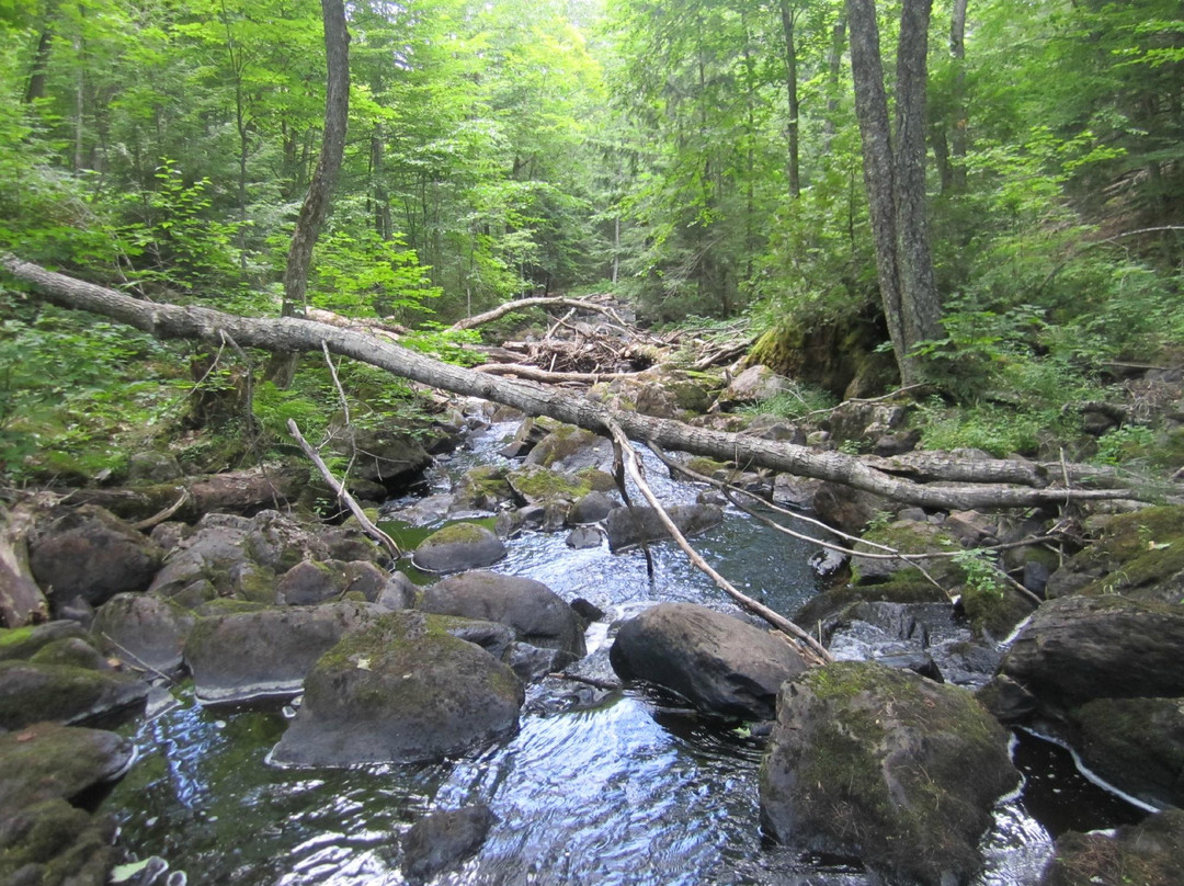 Big Bay旅游攻略图片