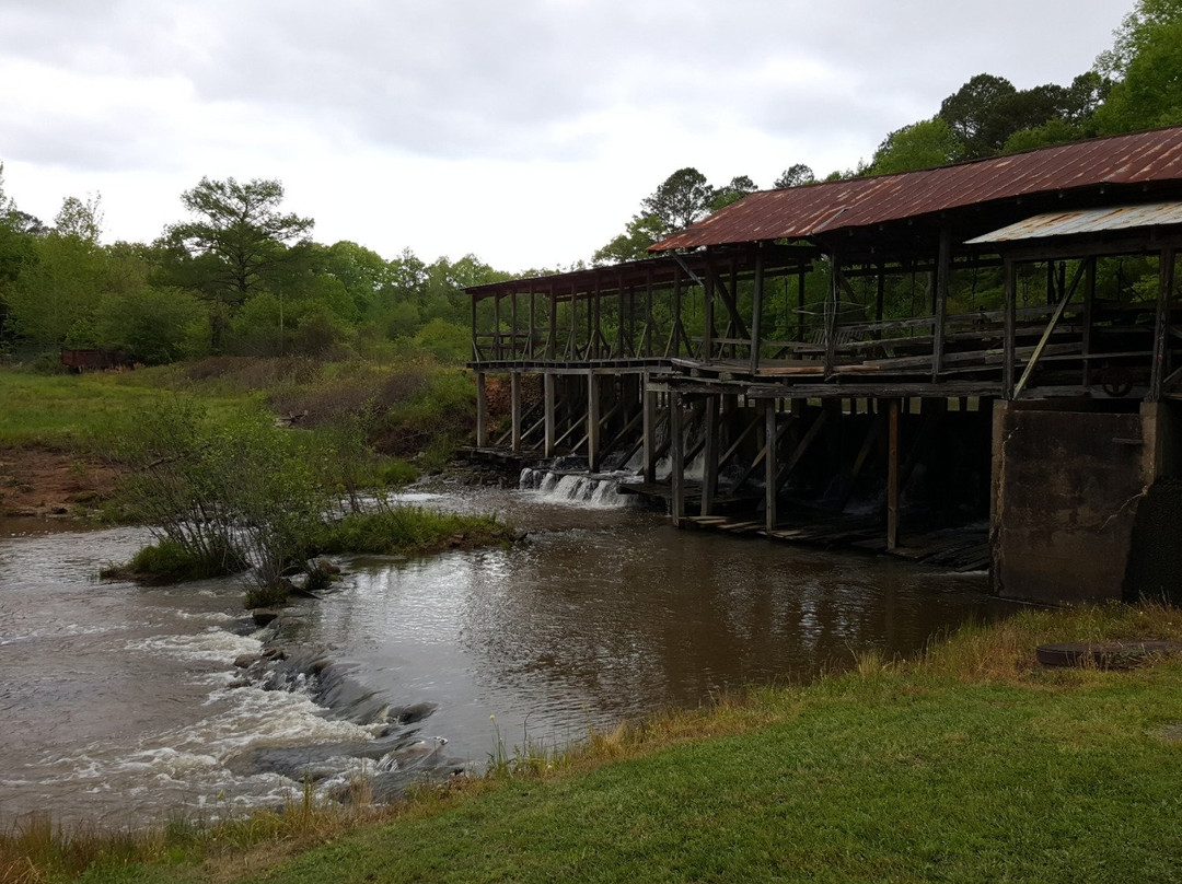 Gainesville旅游攻略图片