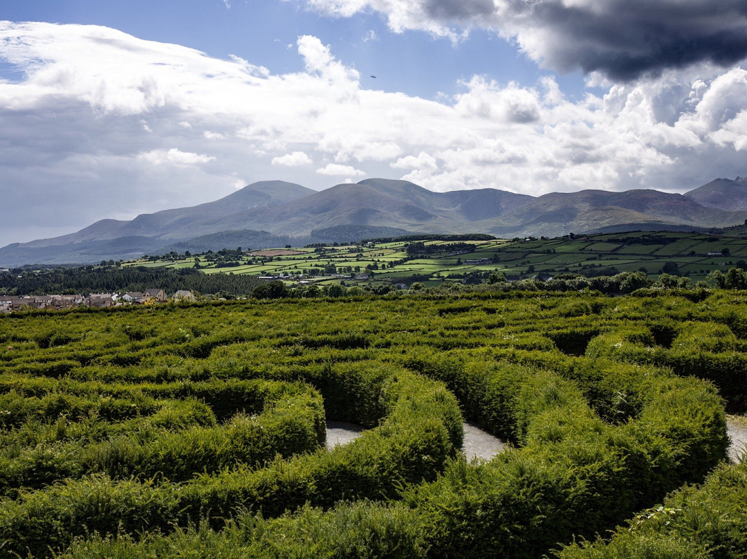 Castlewellan Forest Park景点图片