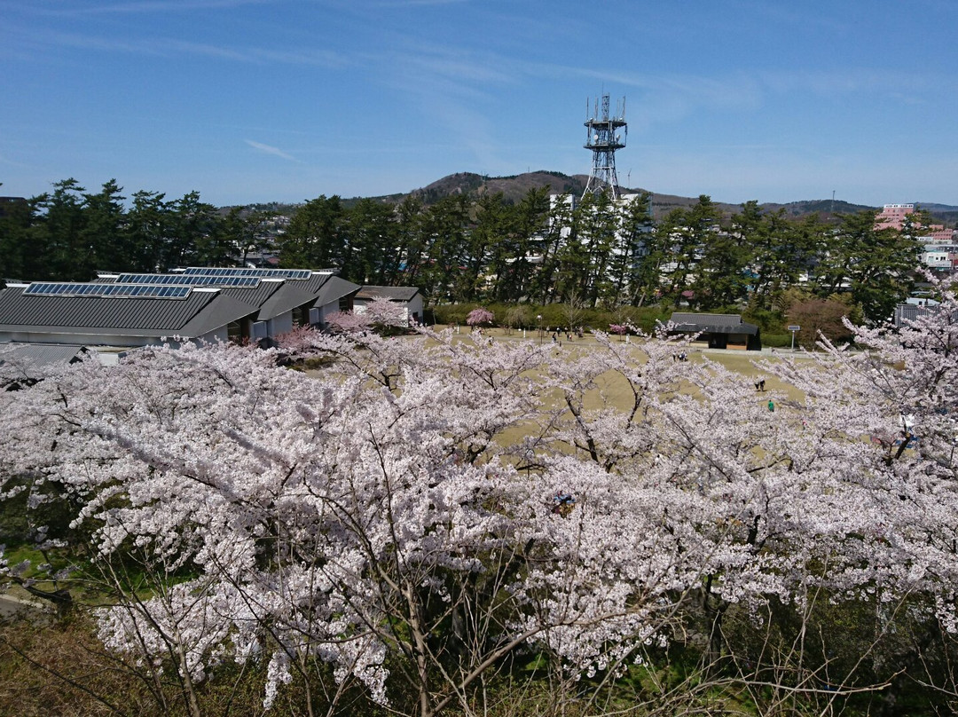 Honjo Park景点图片