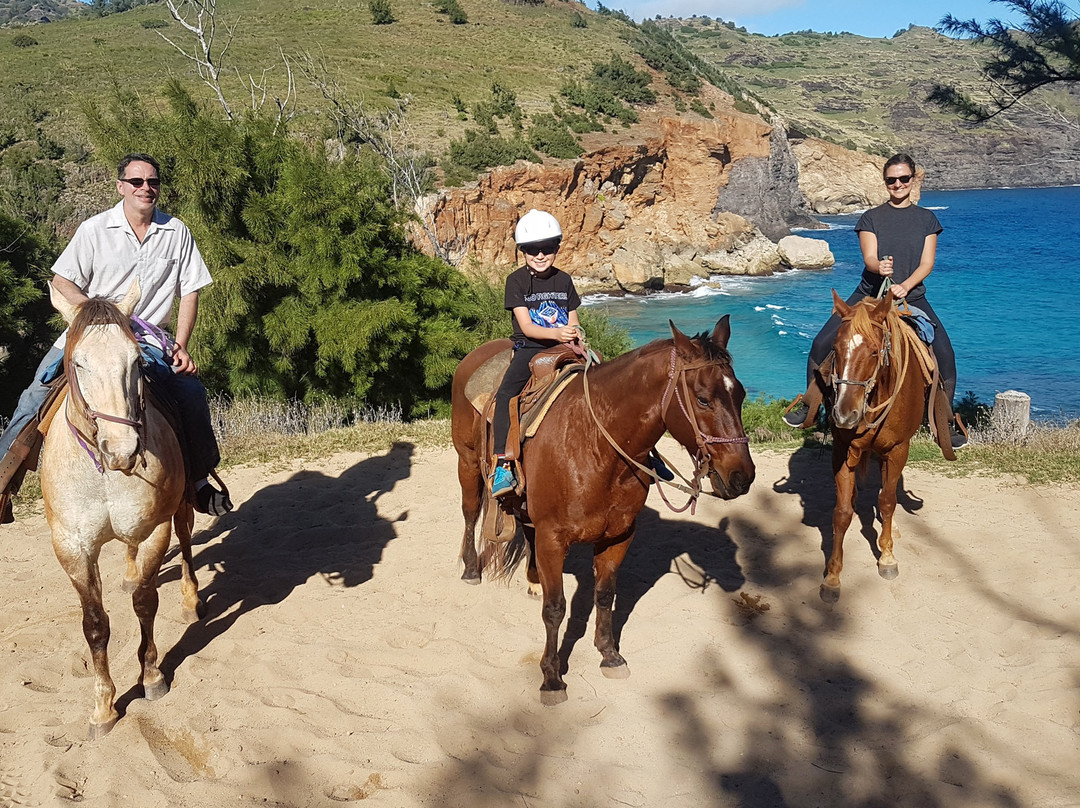 CJM Country Stables-可洛亚必去景点