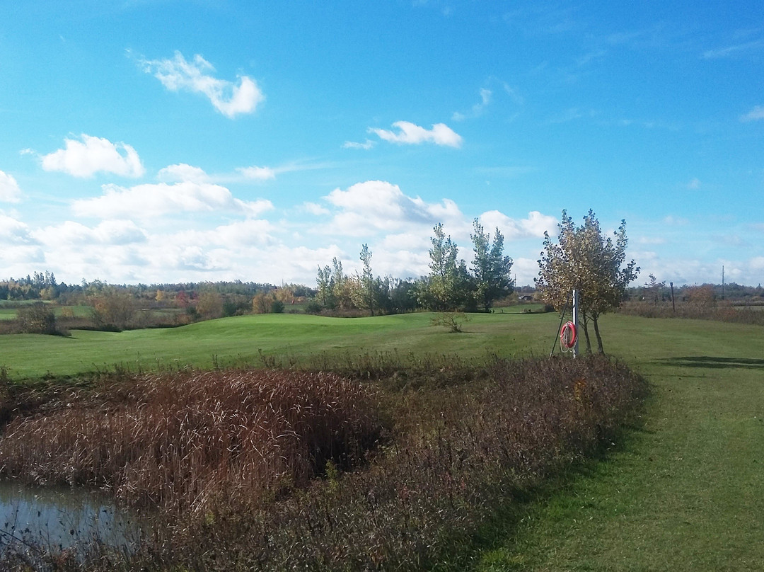 Lynbrook Family Golf Centre景点图片