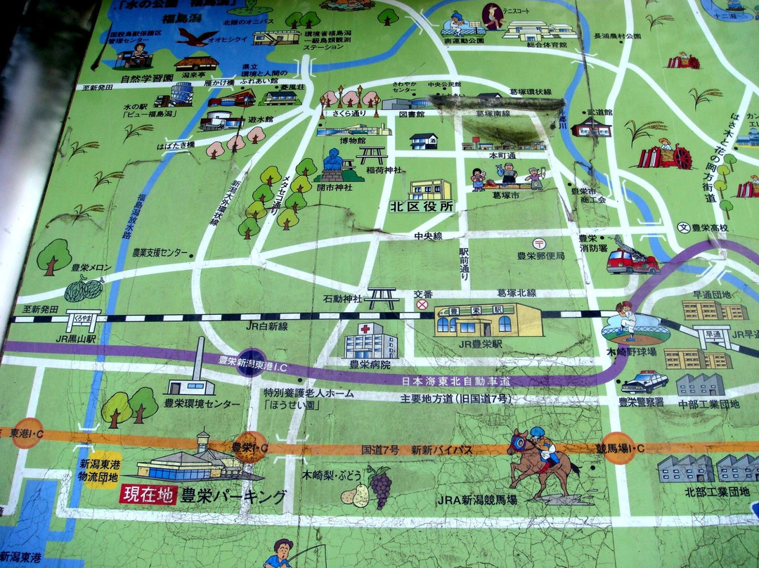 Toyosaka Michi-no-Eki-新泻市必去景点