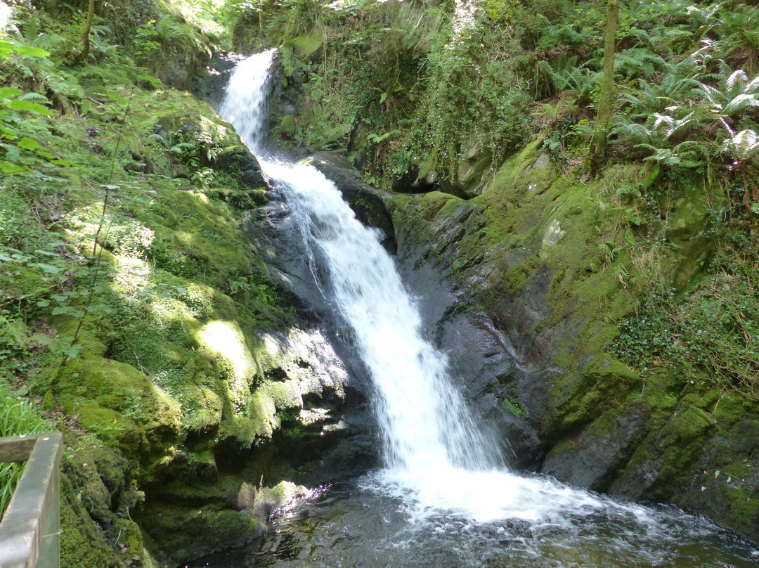 Dolgoch Falls景点图片