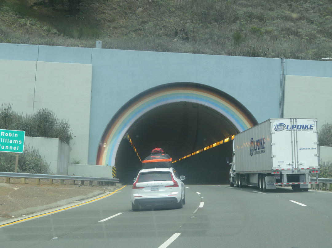 Robin Williams Rainbow Tunnel景点图片