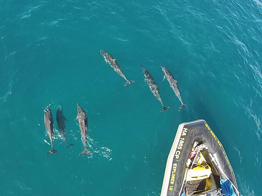 Na Pali Explorer-卡慕也拉必去景点