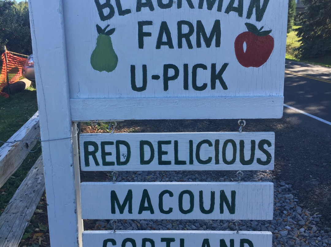 Blackman Homestead Farm景点图片