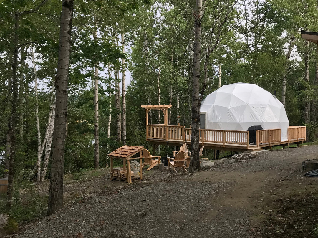 Tides & Timber Glamping