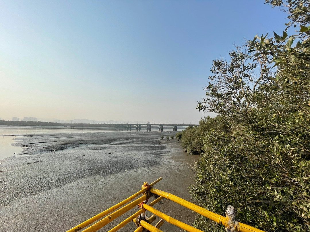 Thane Creek Flamingo Sanctuary景点图片