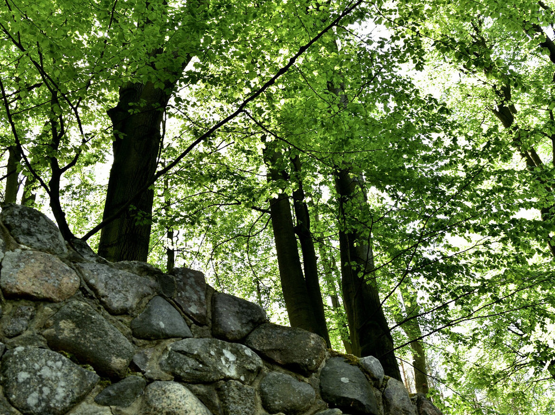 Mühlenberg-Brandenburg City必去景点