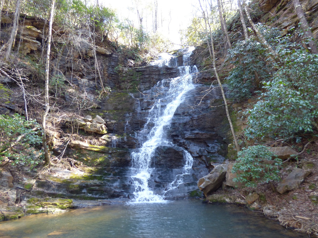 Reedy Branch Falls景点图片