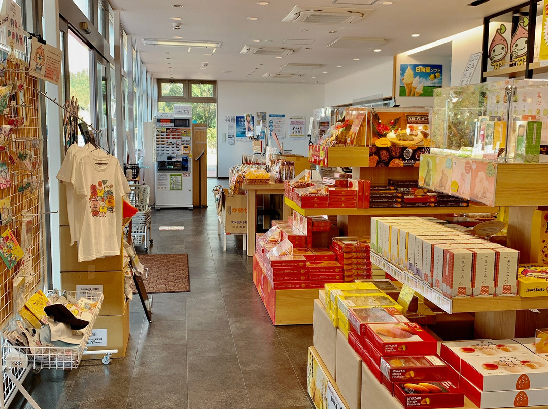 Yamanokuchi Service Area Inbound-都城市必去景点