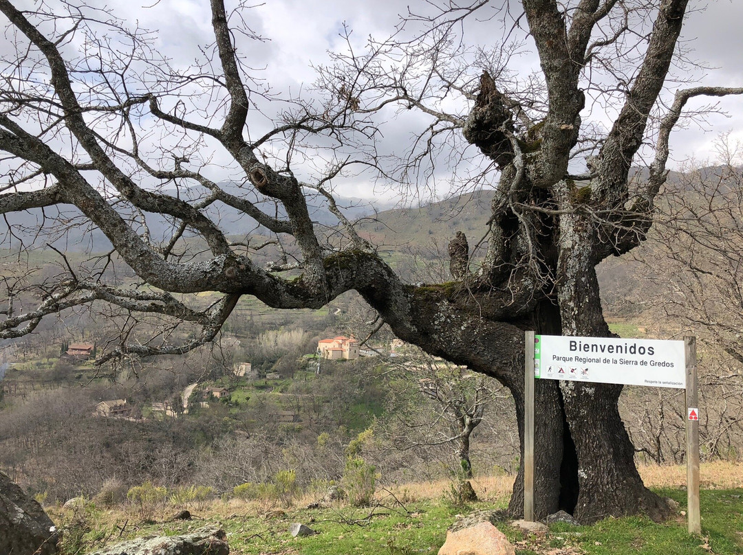 Ermita de Nuestra Senora de Chilla景点图片