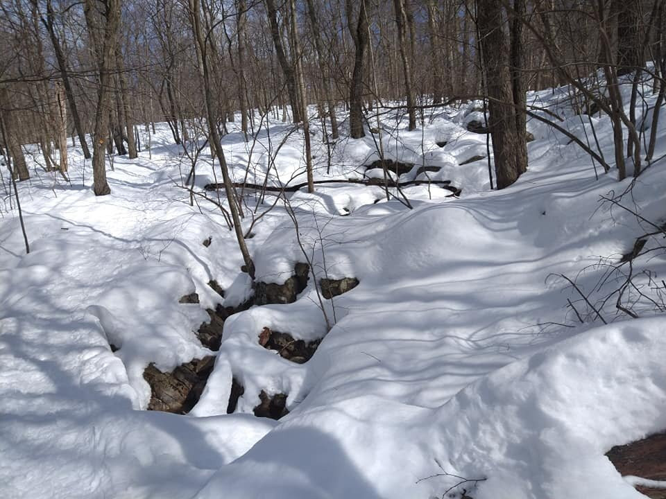 High Point Cross Country Ski Center景点图片