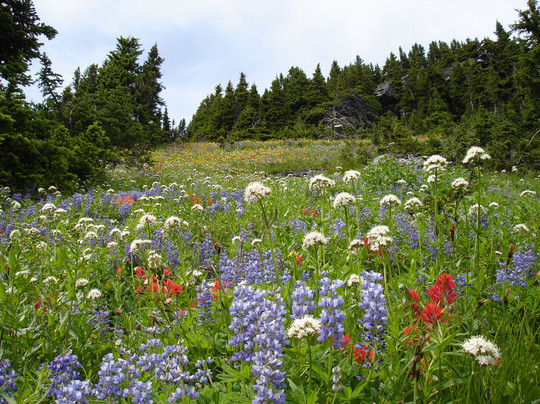 Heli Canada Adventures-雷夫尔斯托克必去景点