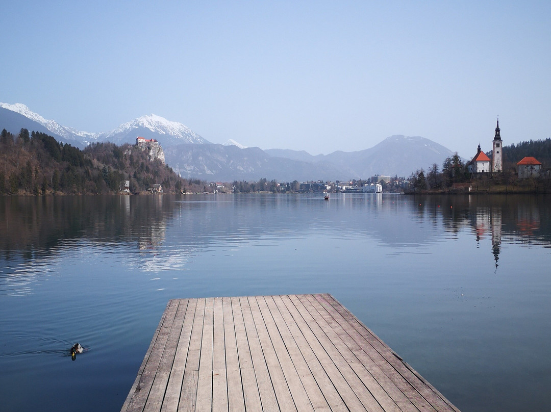 Lake Bled Mini Adventure景点图片