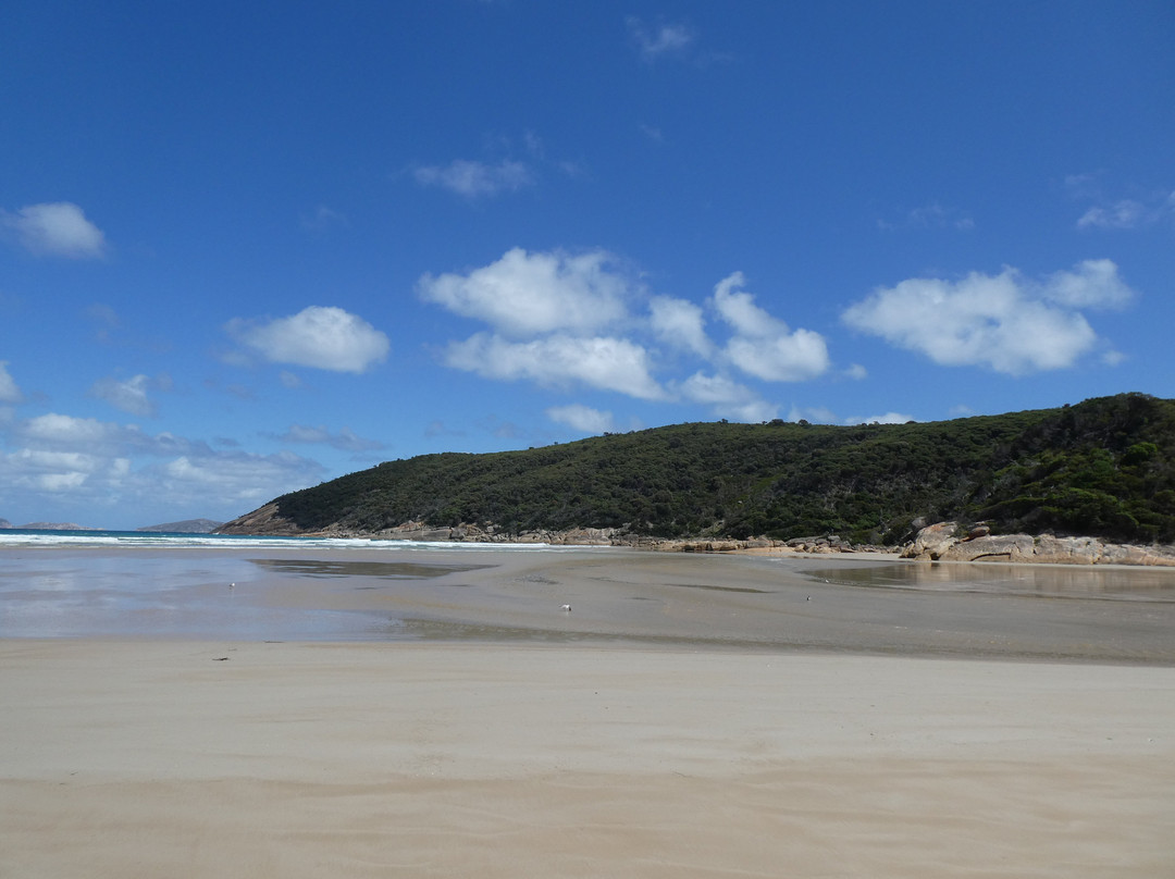 Norman Beach景点图片