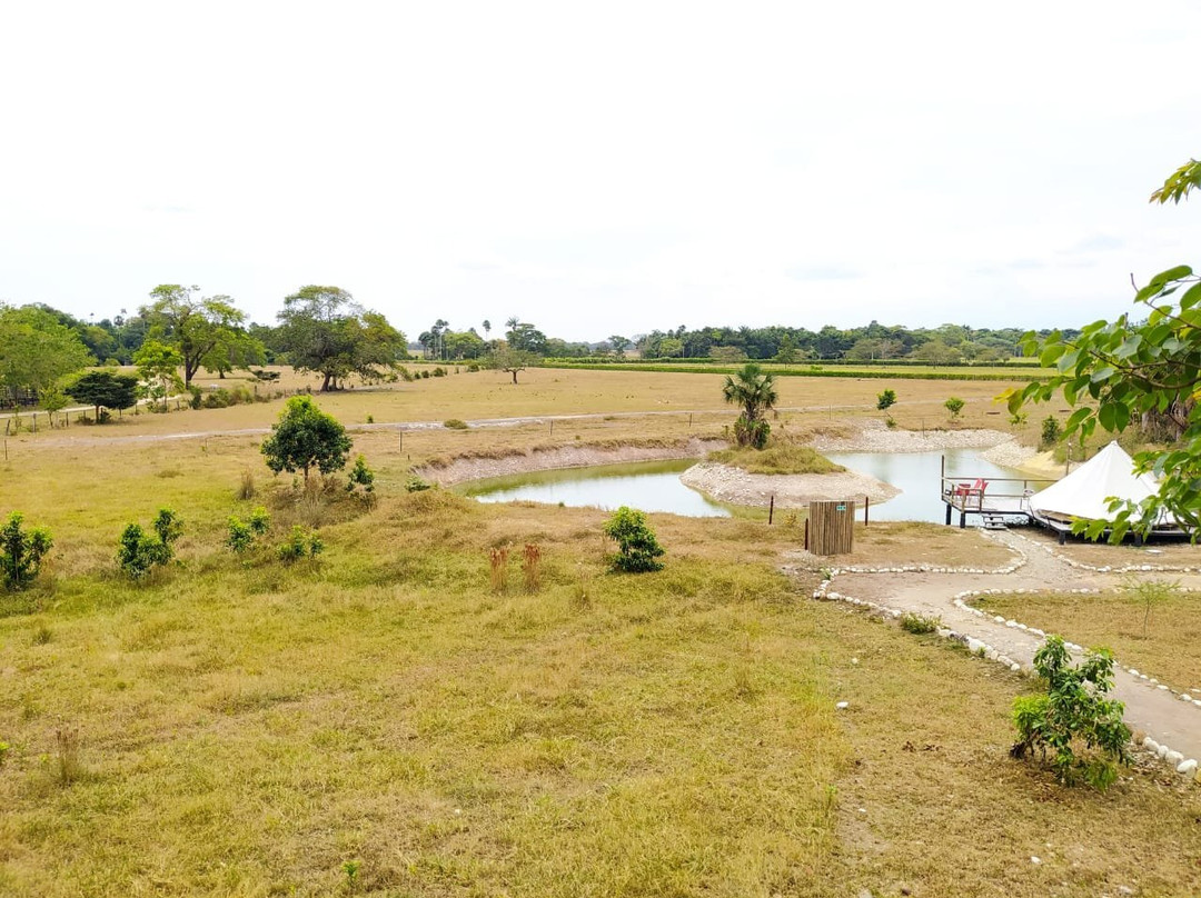Tiuma Park-比亚维森西奥必去景点