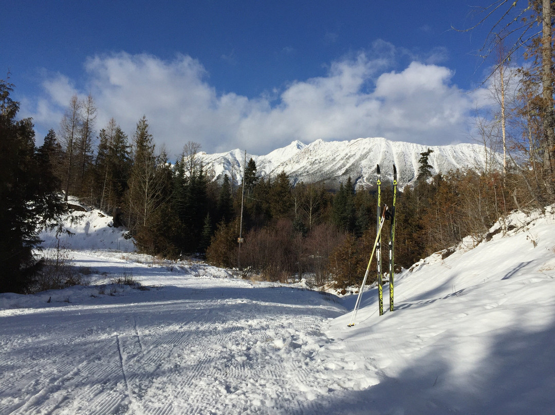 Elk Valley Nordic Centre景点图片